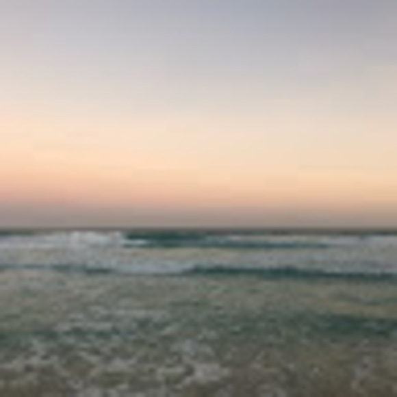 Meet your Posher, Nayeli - Picture 1 of 1